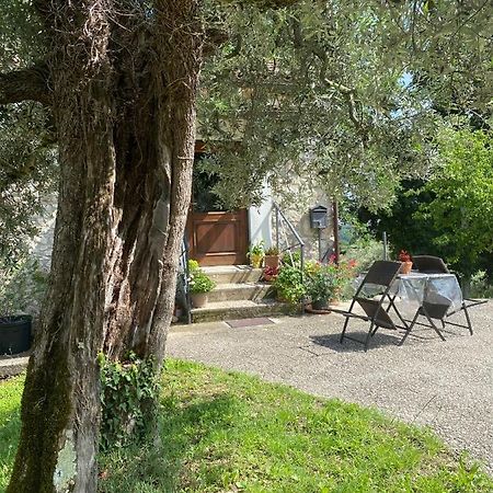 La Casetta Di Vacone 外观 照片