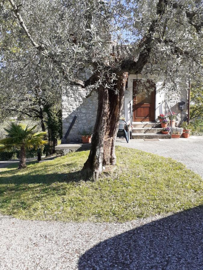 La Casetta Di Vacone 外观 照片