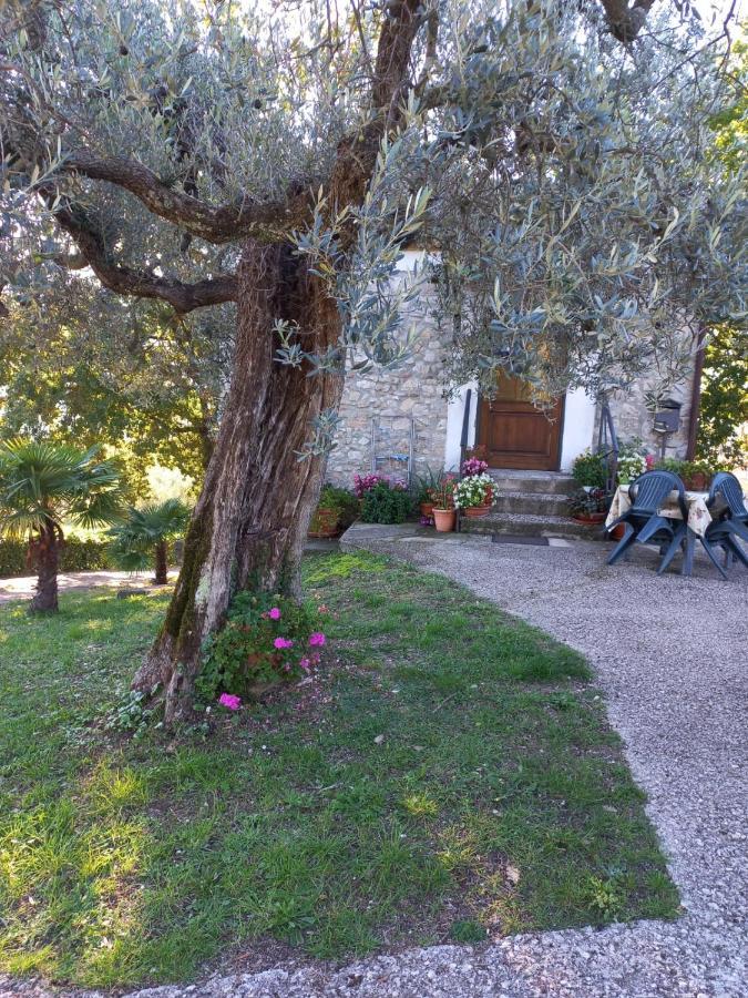 La Casetta Di Vacone 外观 照片
